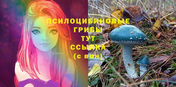 PSILOCYBIN Богородск