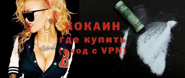 mdpv Богородицк