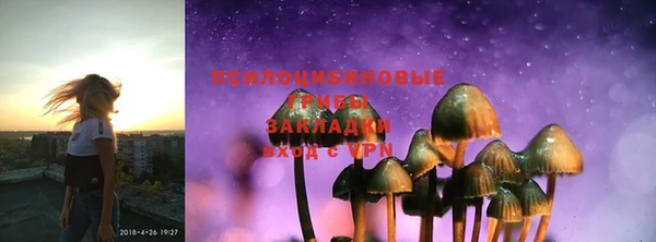 PSILOCYBIN Богородск