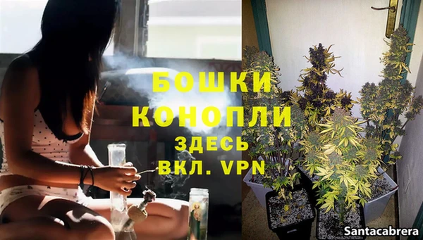 PSILOCYBIN Богородск