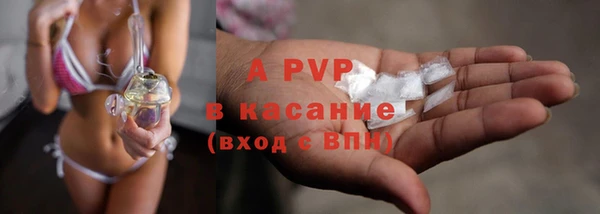 PSILOCYBIN Богородск