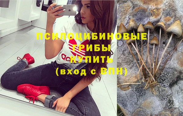 mdpv Богородицк