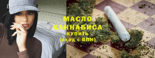 mdpv Богородицк
