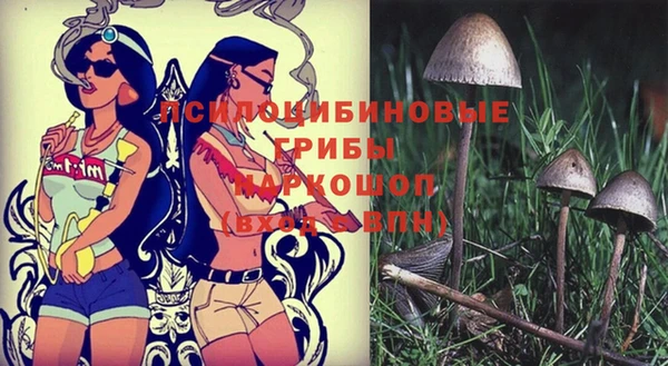 PSILOCYBIN Богородск