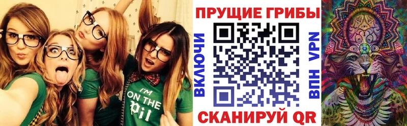 Галлюциногенные грибы Cubensis  Купить закладки  Курчалой 